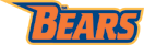 Athletic Bears banner