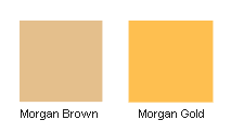 morgan secondary colors of brown and gold